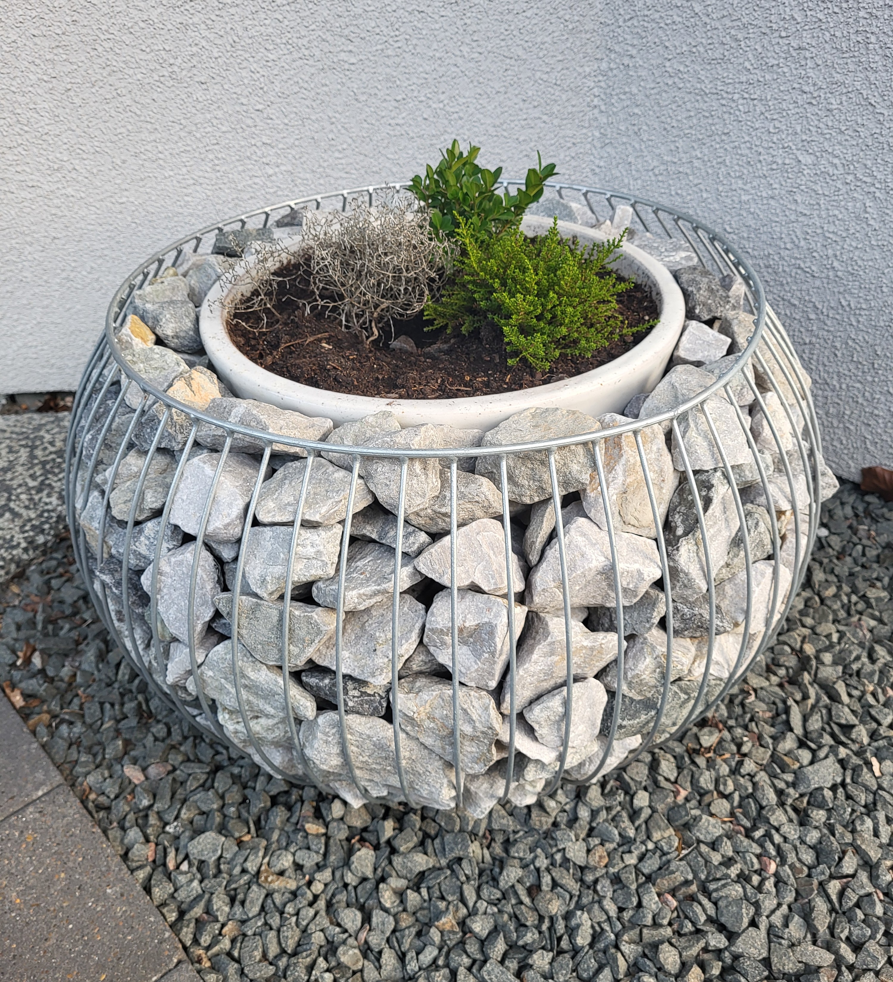 Daisy - Klot Gabionkruka stenkorg 