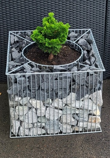 Daisy - Kub Gabionkruka stenkorg 