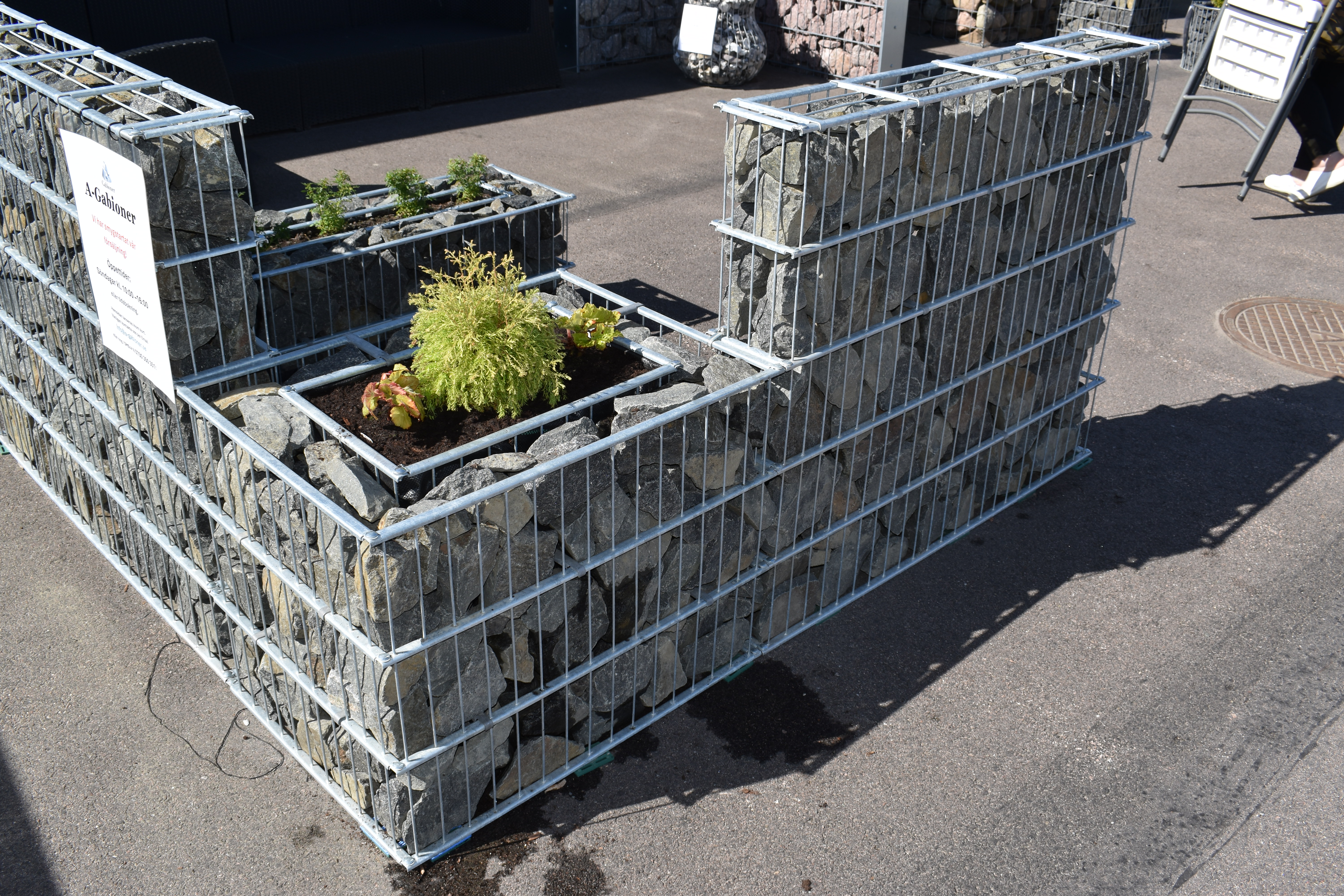 Daisy - Gabion - Blomsterbädd Gabionkruka stenkorg 