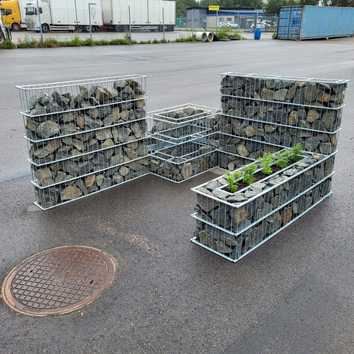 Daisy - Gabion - Blomsterbädd Gabionkruka stenkorg 